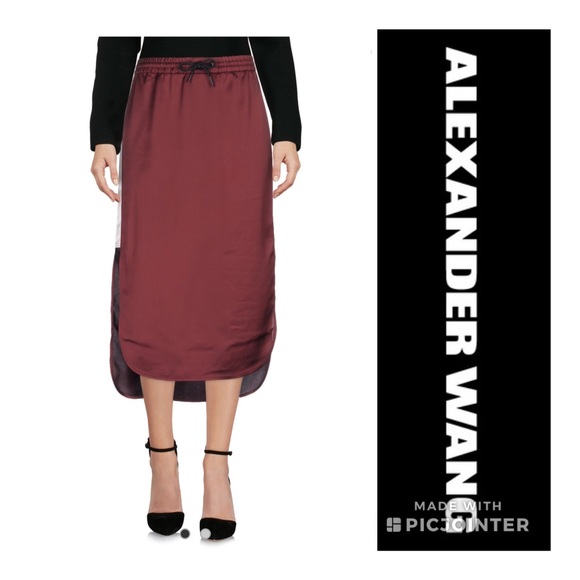 Alexander Wang Dresses & Skirts - ALEXANDER WANG Side Stripe Split Hem Midi Skirt